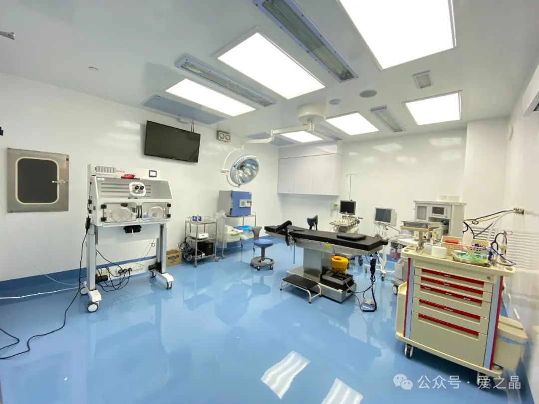 马来西亚——合法冻卵的安全选择，为女性未来赋能